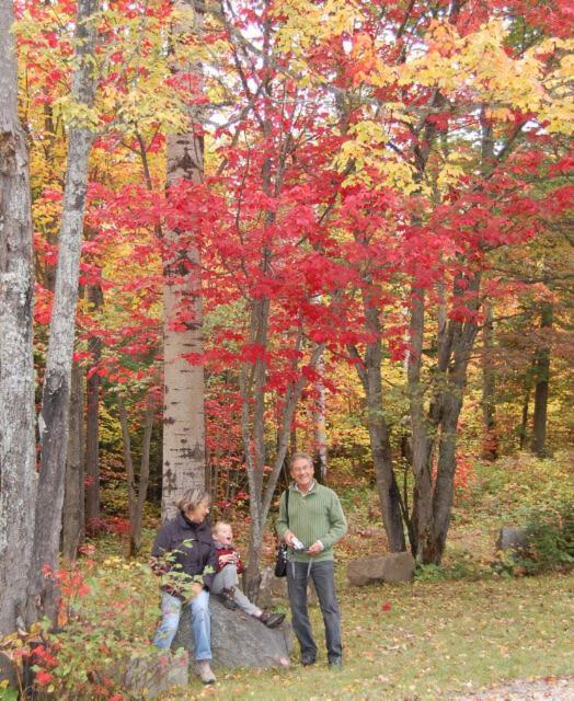 Domaine Le Bostonnais - Le Village En Bois Rond La Tuque Exterior foto