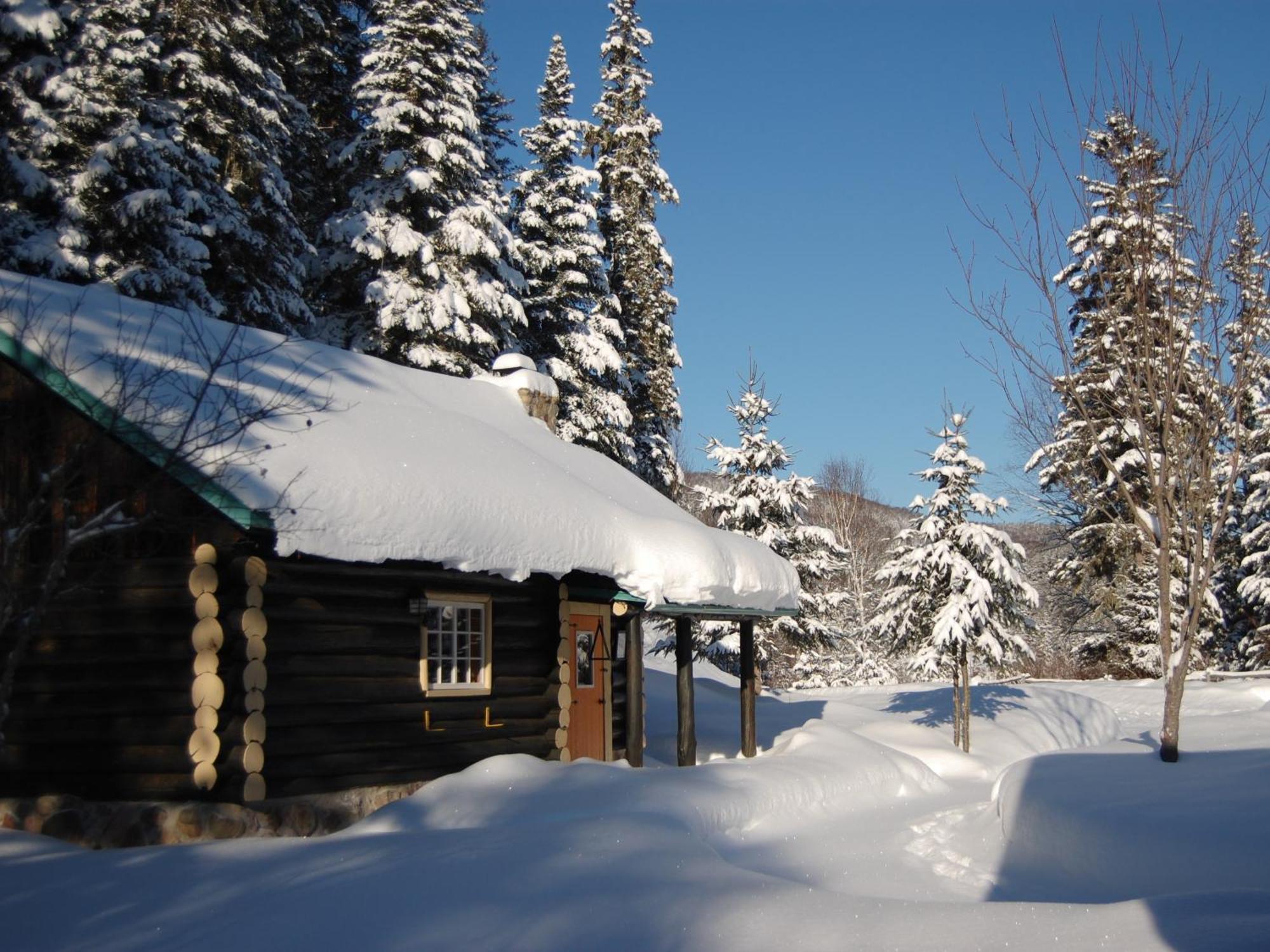 Domaine Le Bostonnais - Le Village En Bois Rond La Tuque Habitación foto